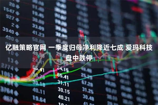 亿融策略官网 一季度归母净利降近七成 爱玛科技盘中跌停